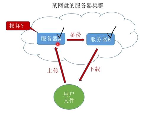 計(jì)算機(jī)網(wǎng)絡(luò)概述 第一章認(rèn)識(shí)計(jì)算機(jī)網(wǎng)絡(luò)技術(shù)與開(kāi)發(fā)